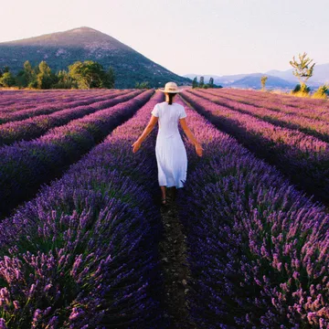 These 10 Lavender Fragrances Are Basically a Trip to Provence in a Bottle